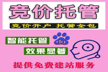 搜索引擎关键词竞价排名的策略调整与案例